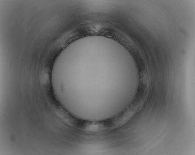 X0000113950754200910091608