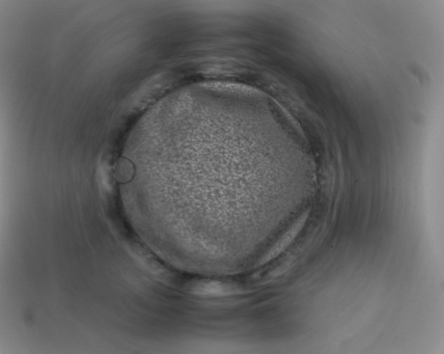 X0000113950755200910091608