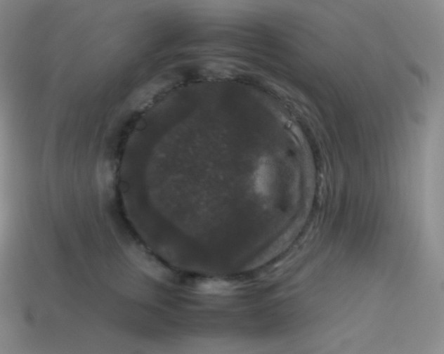 X0000113950759200910091609