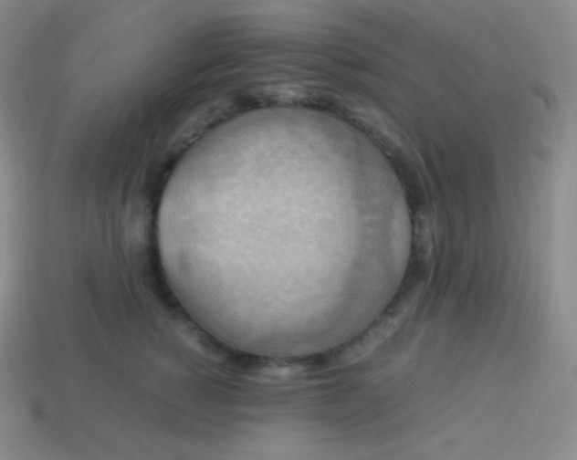 X0000113950760200910091609