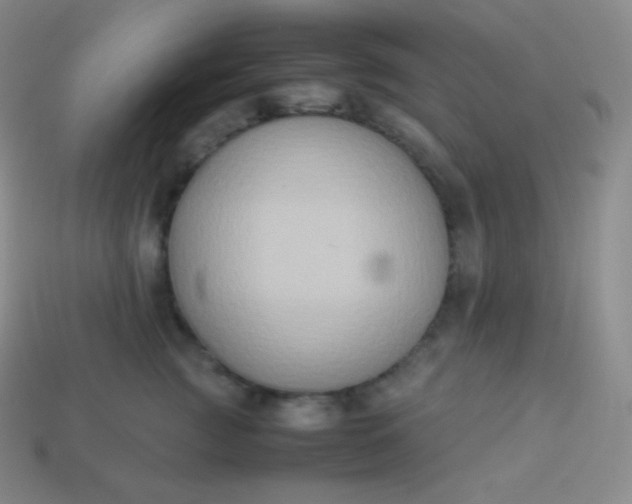 X0000113950761200910091609