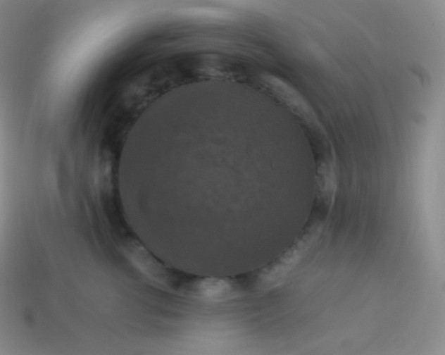 X0000113950762200910091609