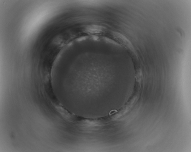 X0000113950763200910091609