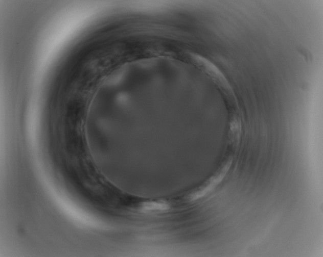 X0000113950765200910091609