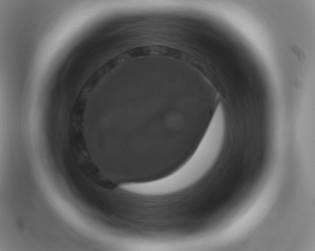X0000113950766200910091609