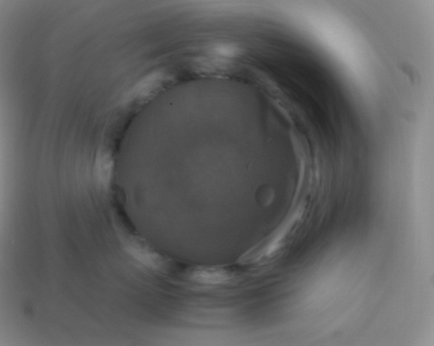 X0000113950767200910091609