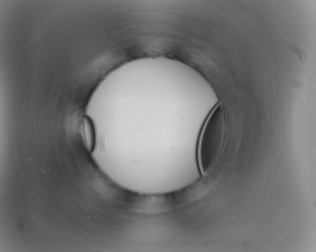 X0000113950768200910091609
