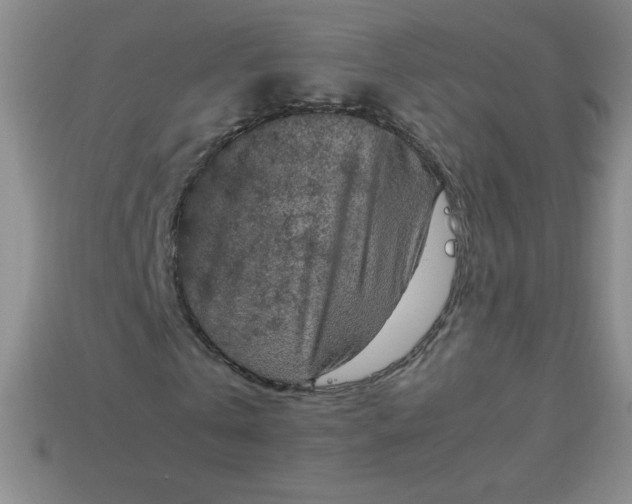 X0000113950769200910091608