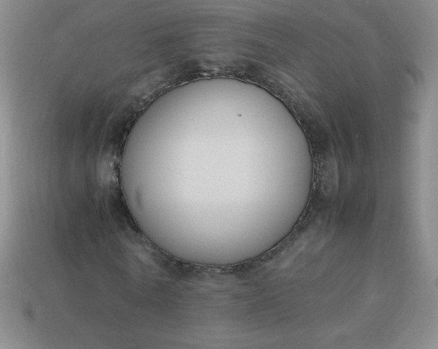 X0000113950770200910091608