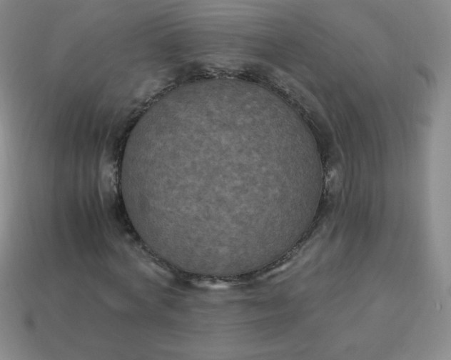 X0000113950772200910091608
