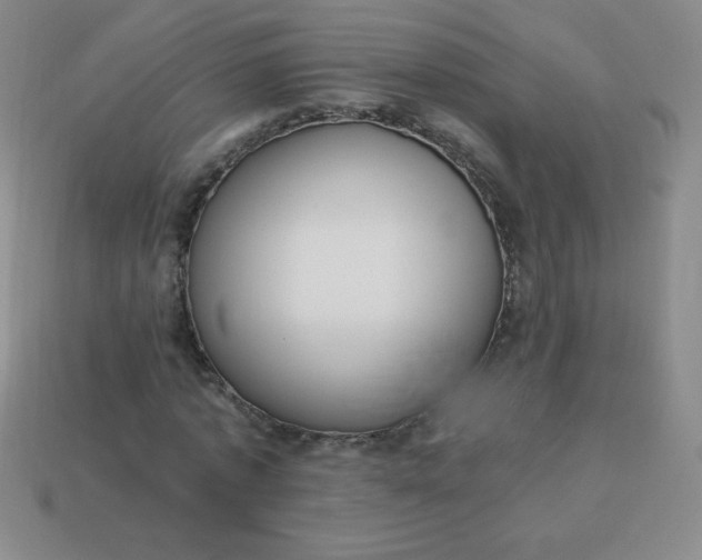 X0000113950773200910091608