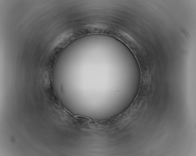 X0000113950774200910091608