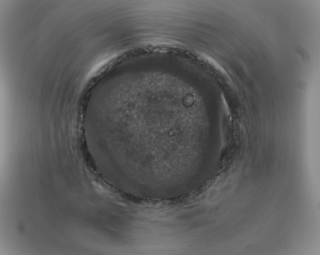 X0000113950775200910091608
