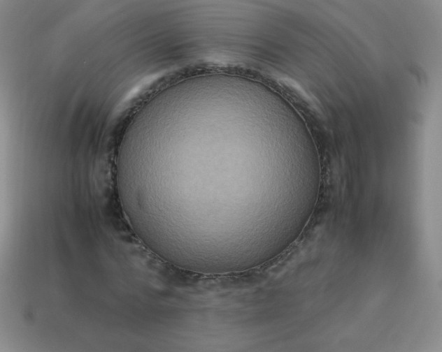 X0000113950776200910091608