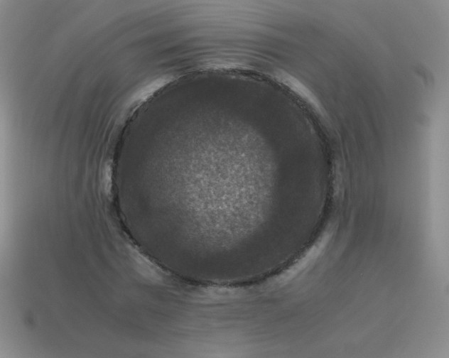 X0000113950777200910091608