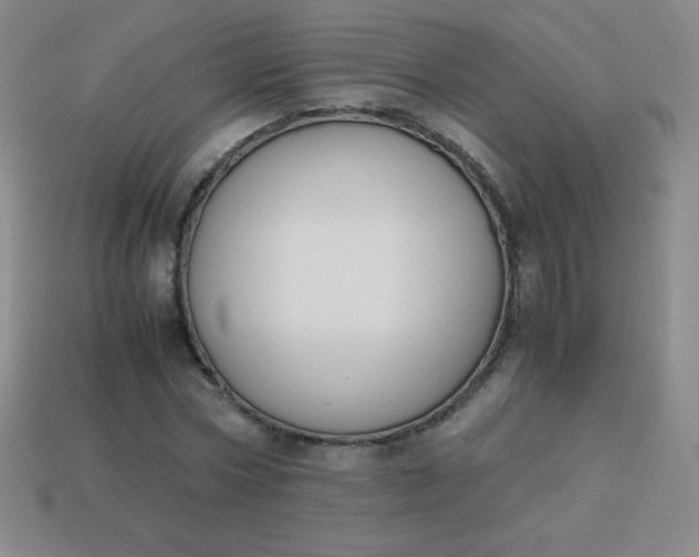 X0000113950778200910091608
