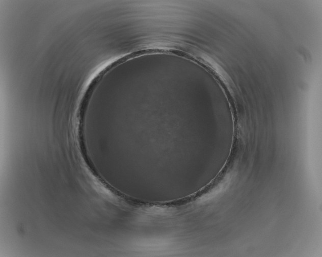 X0000113950779200910091608