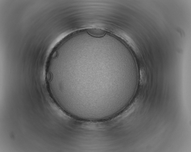 X0000113950780200910091608