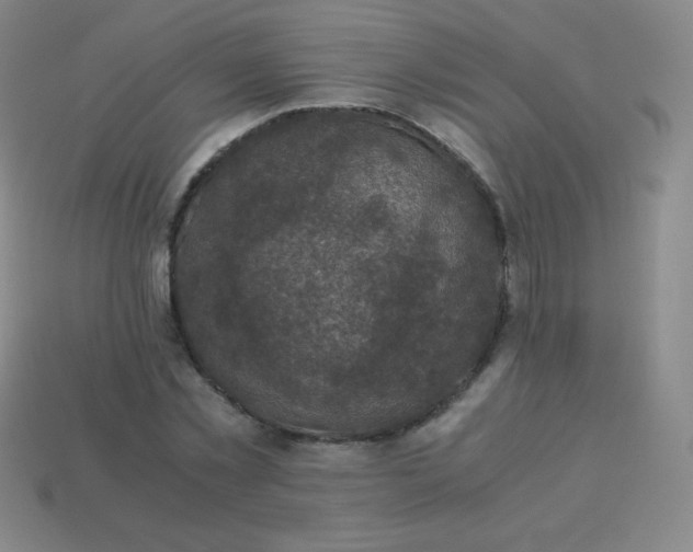 X0000113950781200910091608