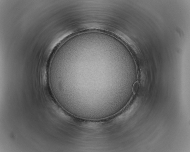 X0000113950782200910091608