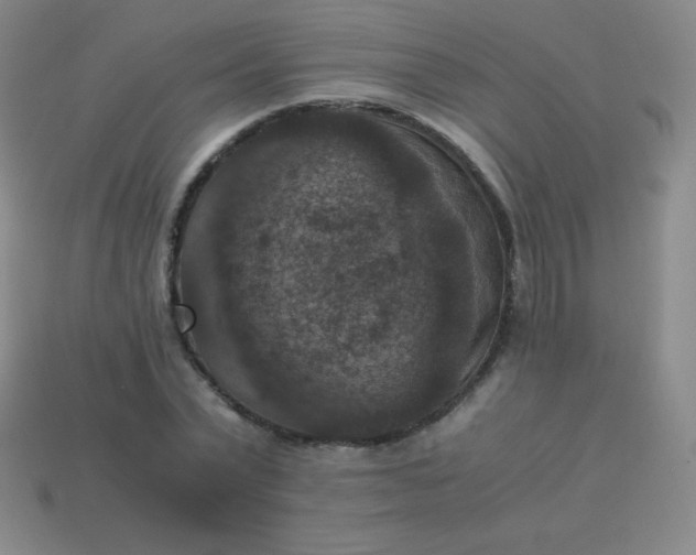 X0000113950783200910091608