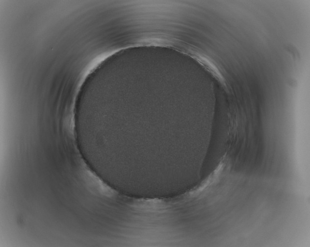 X0000113950784200910091608