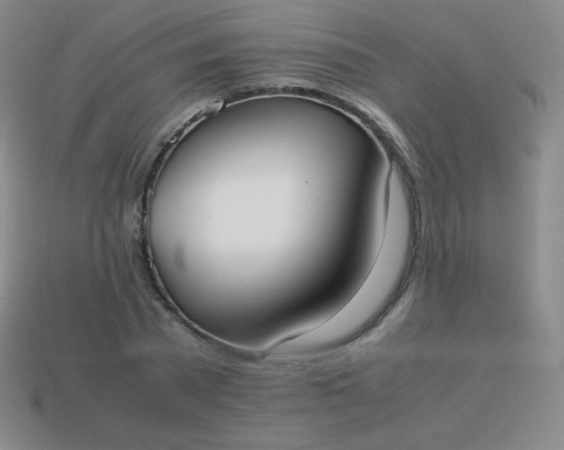 X0000113950785200910091608