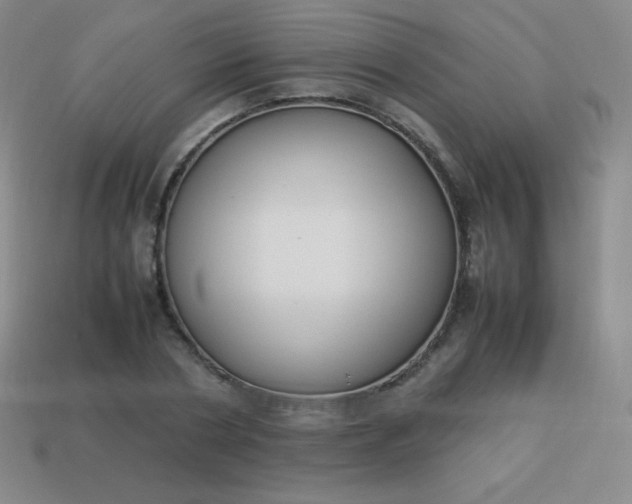 X0000113950786200910091608