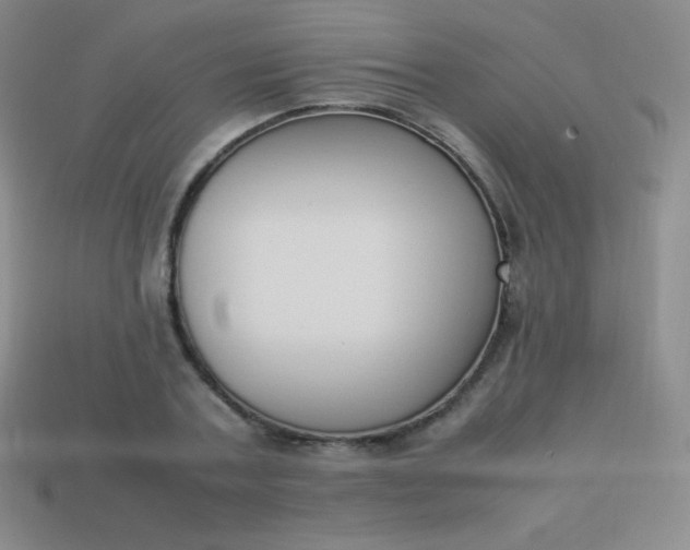X0000113950787200910091608