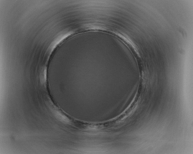 X0000113950790200910091608