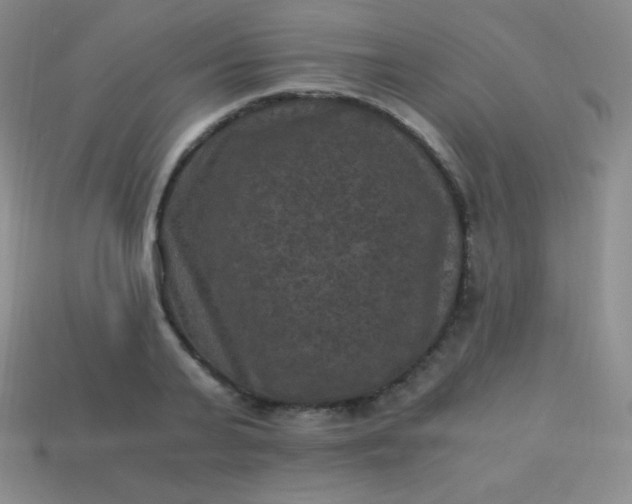 X0000113950791200910091608