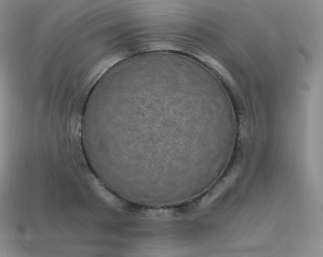 X0000113950793200910091608