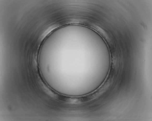 X0000113950794200910091608