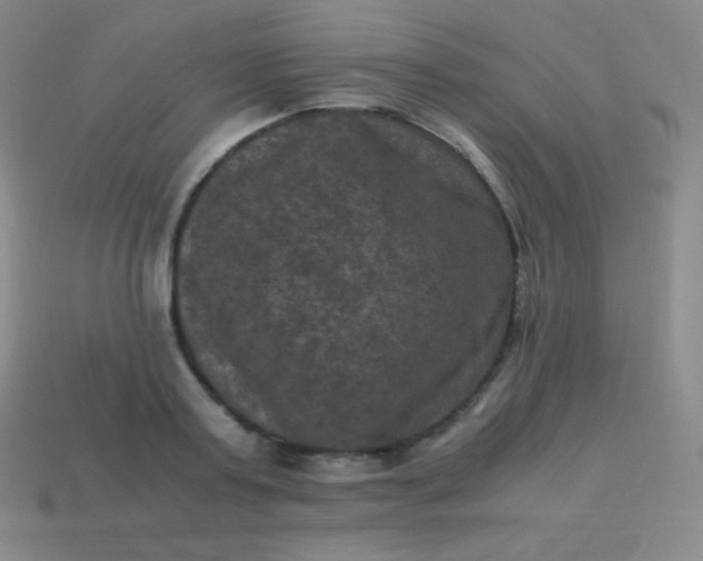 X0000113950795200910091608