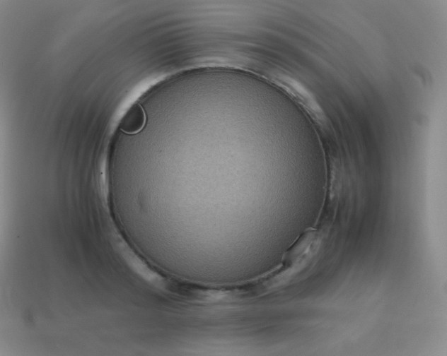 X0000113950796200910091608