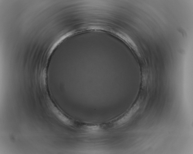 X0000113950798200910091608