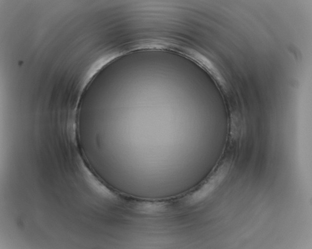 X0000113950802200910091607