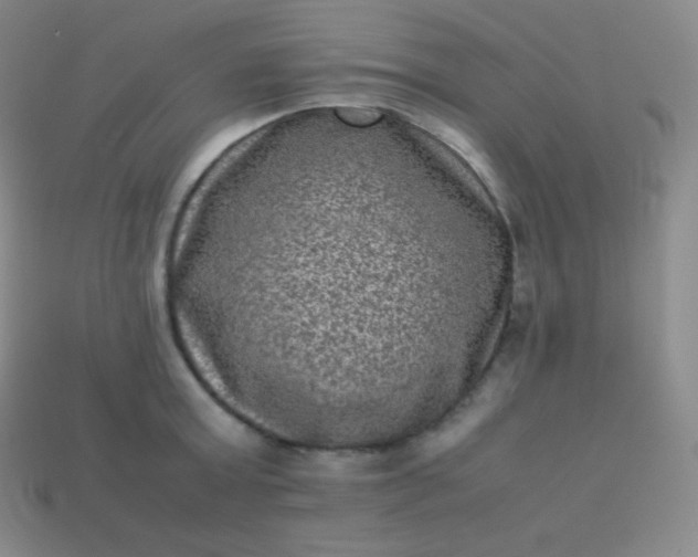 X0000113950803200910091607