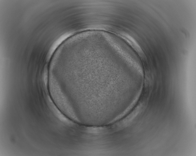 X0000113950804200910091607