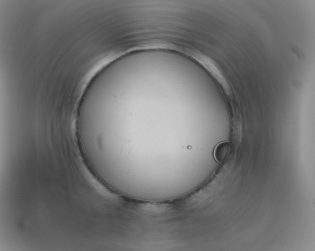 X0000113950805200910091607