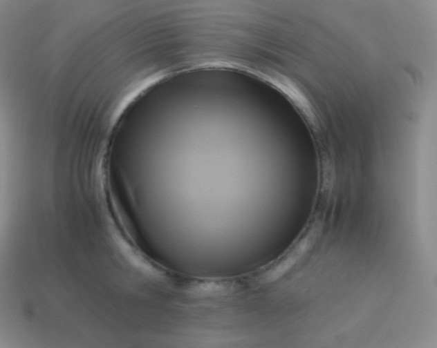 X0000113950806200910091607