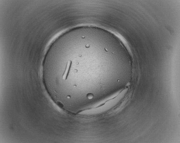 X0000113950807200910091607