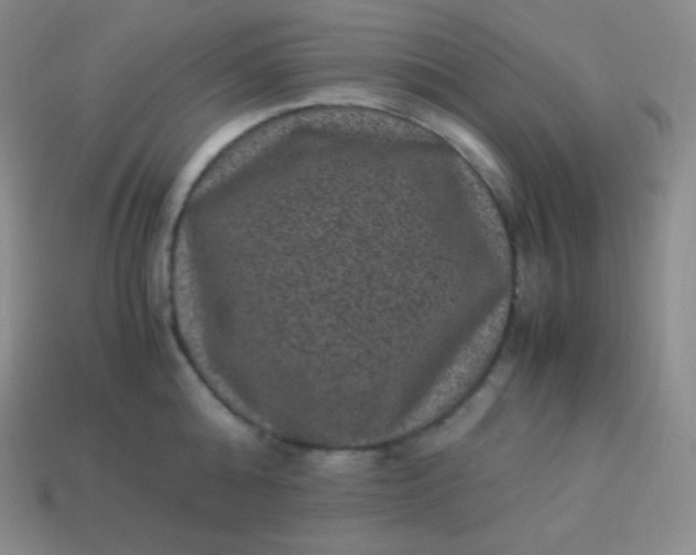 X0000113950808200910091607