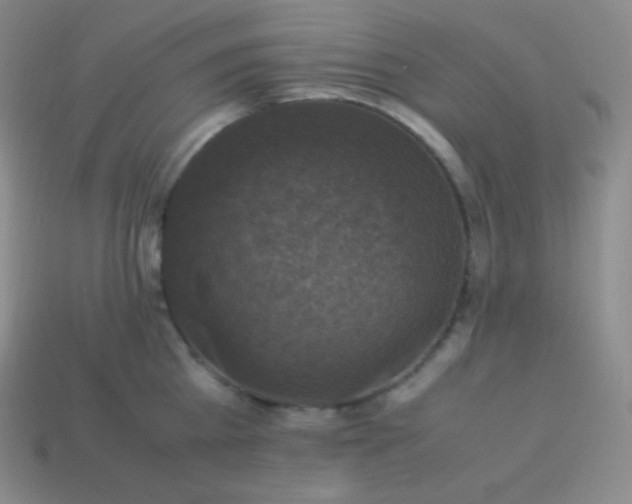 X0000113950809200910091607