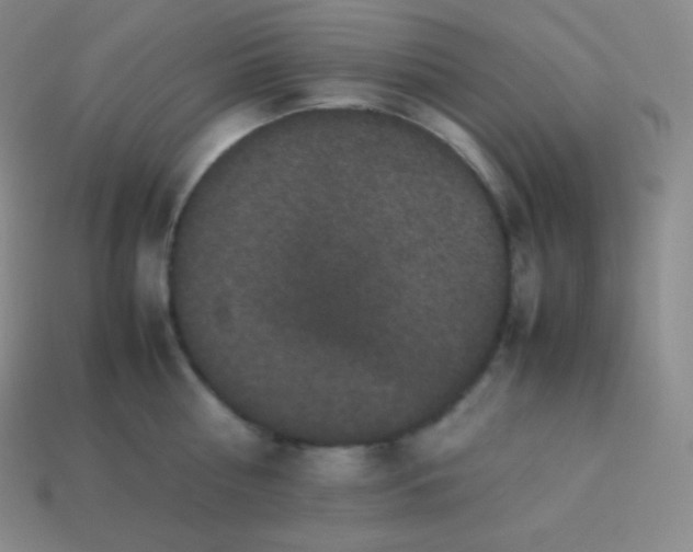 X0000113950810200910091607