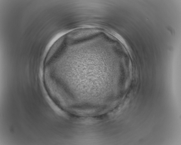 X0000113950811200910091607