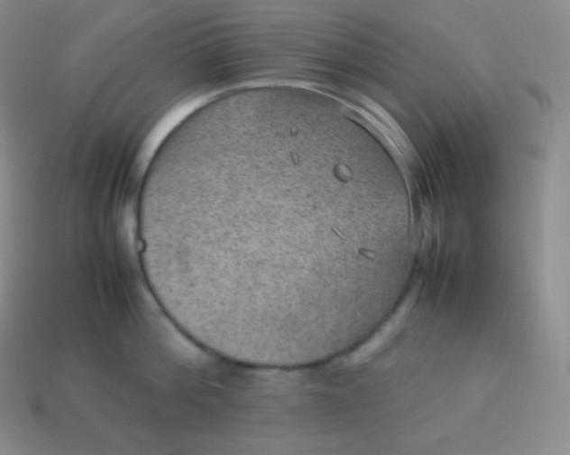 X0000113950812200910091607