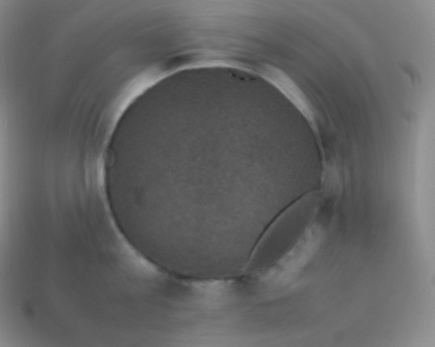 X0000113950813200910091607