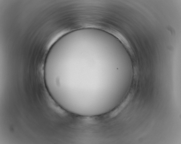 X0000113950814200910091607