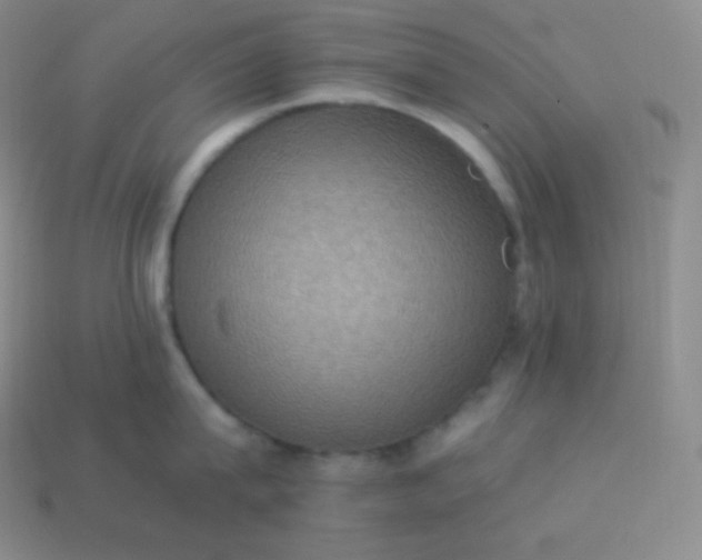 X0000113950815200910091607